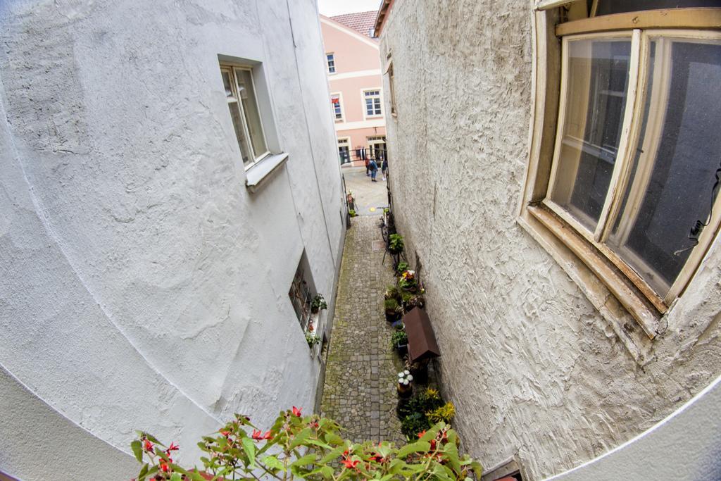 Penzion Cernej Ptak Hotel Jindrichuv Hradec Bagian luar foto